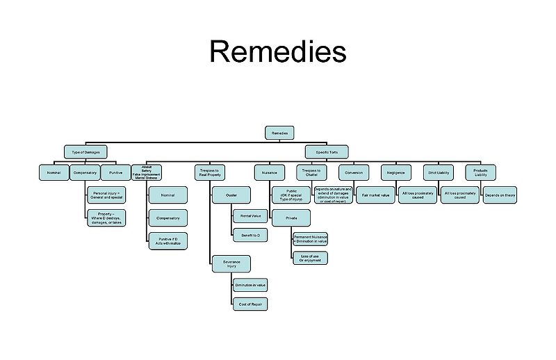 File:Remedies Comprehensive Review Chart.jpg